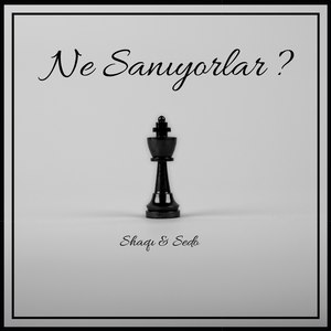 Ne Sanıyorlar?