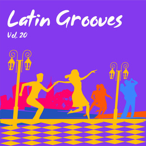 Latin Grooves, Vol. 20