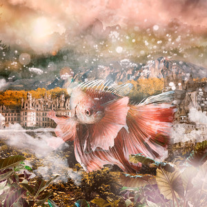 Team WIN(Feat.Northfacegawd)