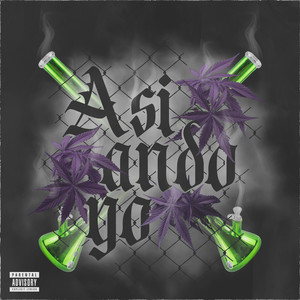 Asi ando yo (Explicit)