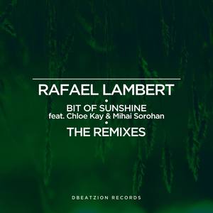 Bit Of Sunshine (The Remixes)