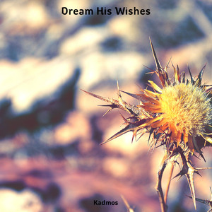 Dream His Wishes