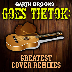 American Honky-Tonk Bar Association (Remix Cover)