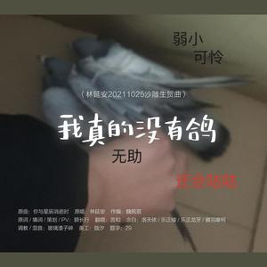 我真的没有鸽 (林延安20201025沙雕生贺曲)