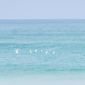 언젠가 우리에게 우주였던