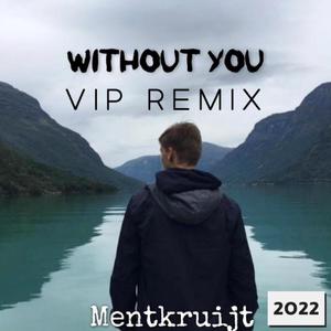 Without you (VIP Remix)