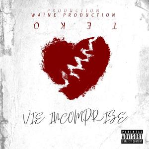Vie Incomprise (Explicit)