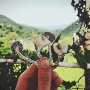 Eleva (feat. Psilo & Magual)