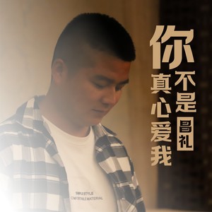 你不是真心爱我