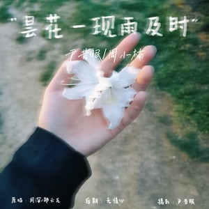 昙花一现雨及时封面