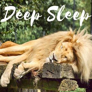 Deep Sleep Aid Brainwave Entrainment Meditation Treat Insomnia with Nature Sounds Music - Isochronic Tones Binaural Beats