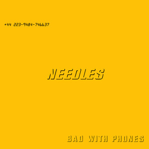 Needles
