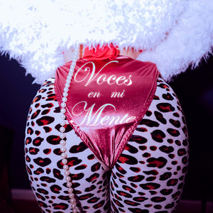 Analizando la Salida