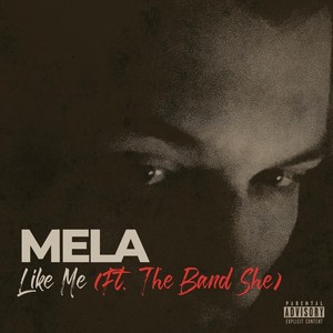Like Me(feat. The Band She) (Explicit)