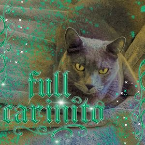 full cariñito (Explicit)