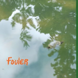 Fouler