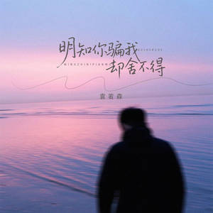 明知你骗我却舍不得