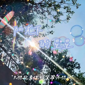 阳光下的星星