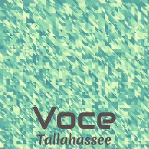 Voce Tallahassee