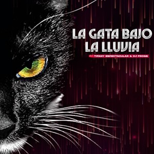 La gata bajo la lluvia