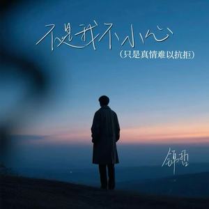 不是我不小心 (只是真情难以抗拒)