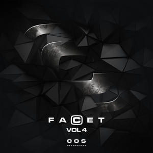 FaCet, Vol. 4