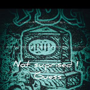 not suprised I guess (Explicit)