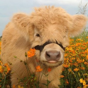 Dont Wanna Talk (Explicit)