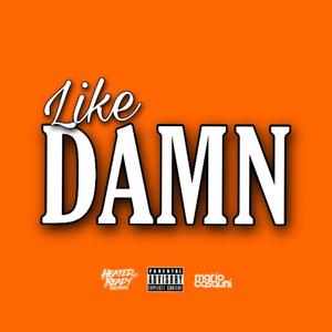 Like Damn (feat. CTB inc) [Explicit]