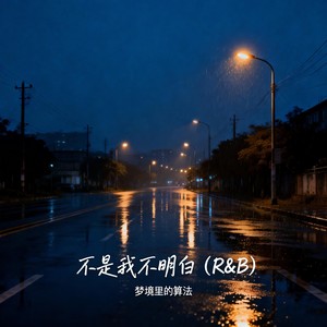 不是我不明白 (R&B)封面