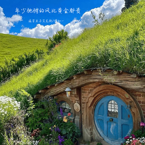 年少驰骋的风比黄金都贵