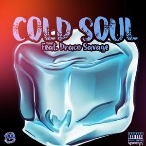 Cold Soul (feat. Draco Savage) [Explicit]