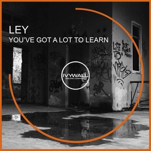 You've Got a Lot to Learn (Original Mix)