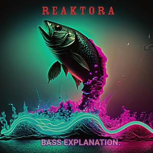 Bass Explaination