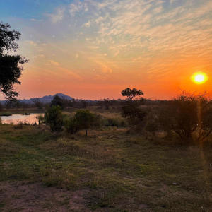Serengeti