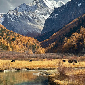 开往春天的地铁 (从你的全世界路过)