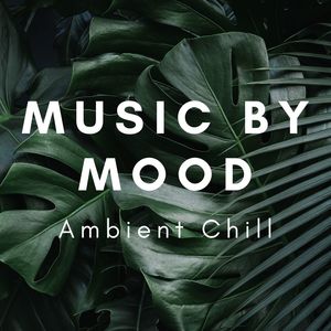 Music by Mood