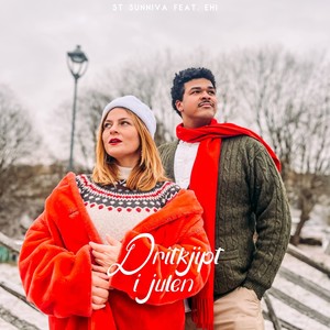 Dritkjipt i julen