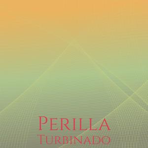 Perilla Turbinado