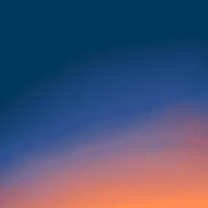 We construct intricate rituals in order to be alone