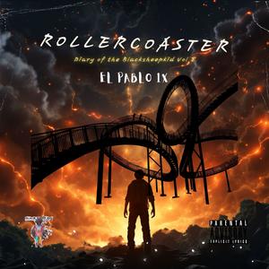 Rollercoaster: Diary of the Blacksheepkid, Vol. 2 (Explicit)