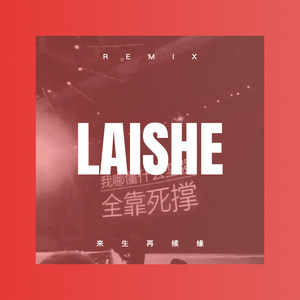 伤了的心还可以爱谁 (Remix)