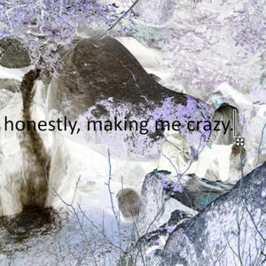 honestly, making me crazy.