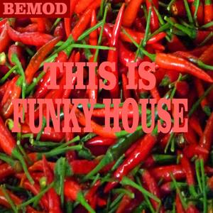 Mama's Funk (Cookin' Mix)