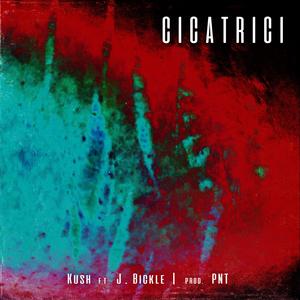 Cicatrici (feat. J Bickle) (Explicit)