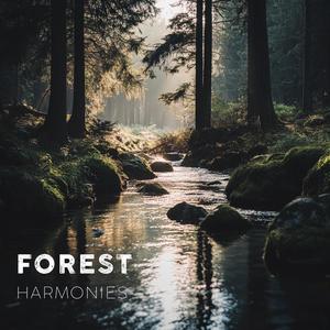 Forest Harmonies for Calm