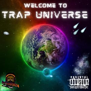 Trap Universe (Explicit)