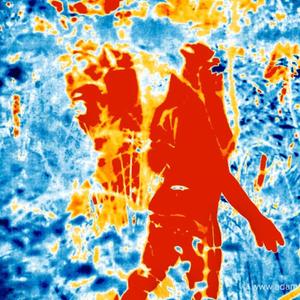 everything be like (Explicit)