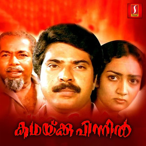 Kathakku Pinnil (Original Motion Picture Soundtrack)