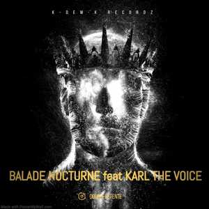 Balade nocturne